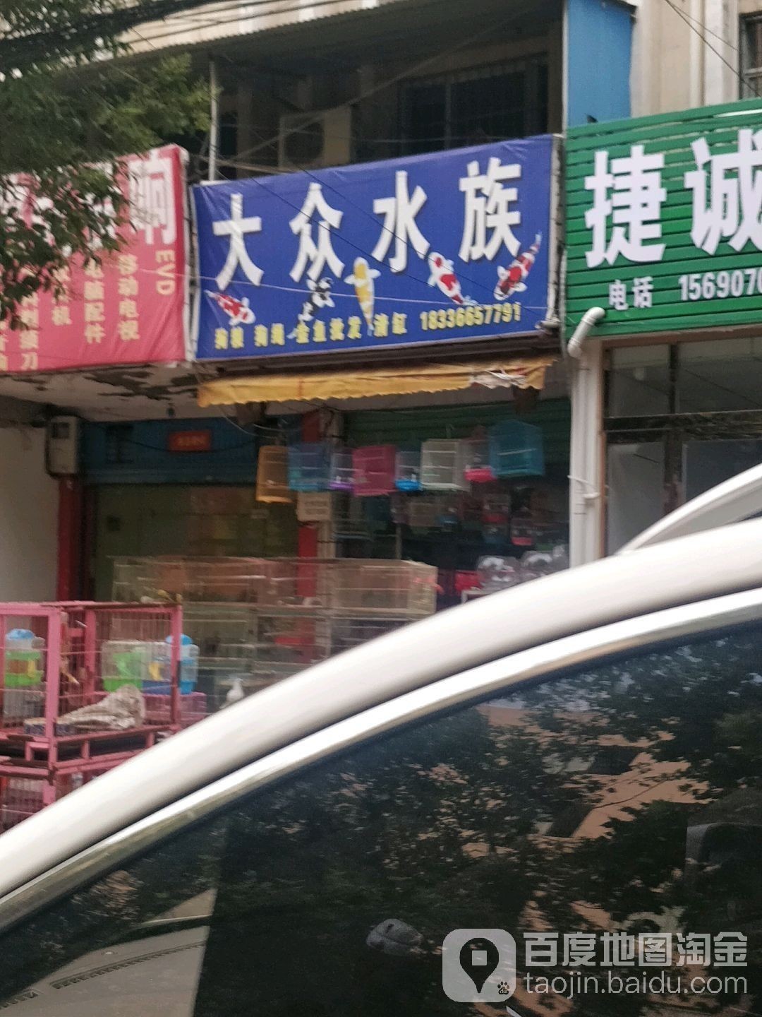 城東開水族店怎么樣？加盟祥龍魚場賣龍魚市場怎樣？ 城東開水族店怎么樣？加盟祥龍魚場賣龍魚市場怎樣？ 水族館百科（水族館加盟） 第3張