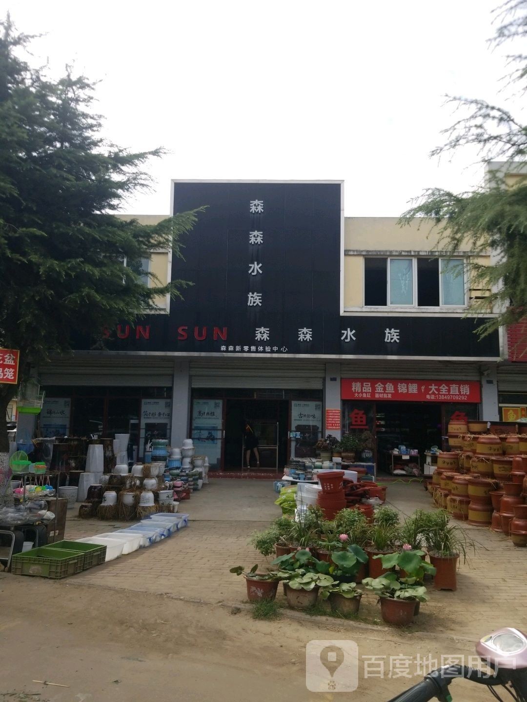 城東開水族店怎么樣？加盟祥龍魚場賣龍魚市場怎樣？ 城東開水族店怎么樣？加盟祥龍魚場賣龍魚市場怎樣？ 水族館百科（水族館加盟） 第1張