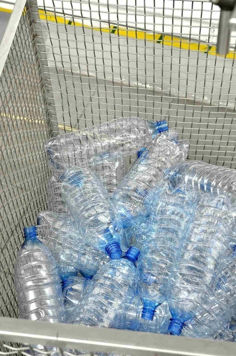 城東開水族店怎么樣？加盟祥龍魚場賣龍魚市場怎樣？ 城東開水族店怎么樣？加盟祥龍魚場賣龍魚市場怎樣？ 水族館百科（水族館加盟） 第7張
