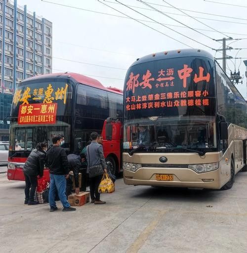 都安開水族店怎么樣？加盟祥龍魚場賣龍魚市場怎樣？