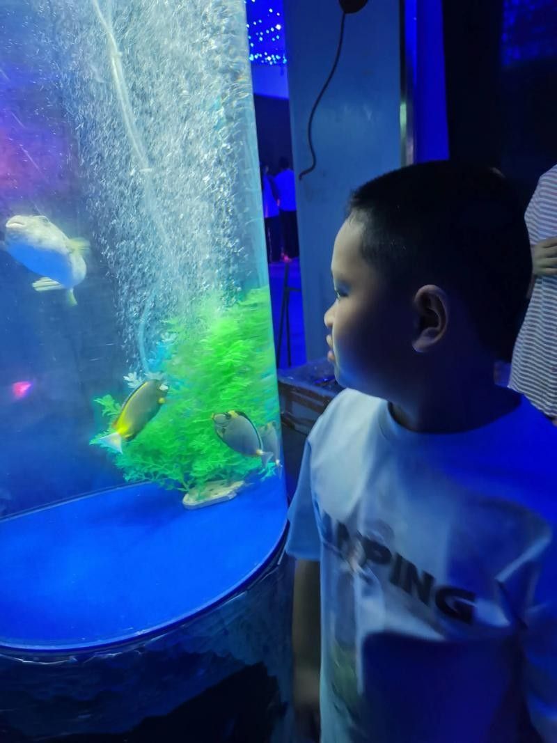 都安開水族店怎么樣？加盟祥龍魚場賣龍魚市場怎樣？