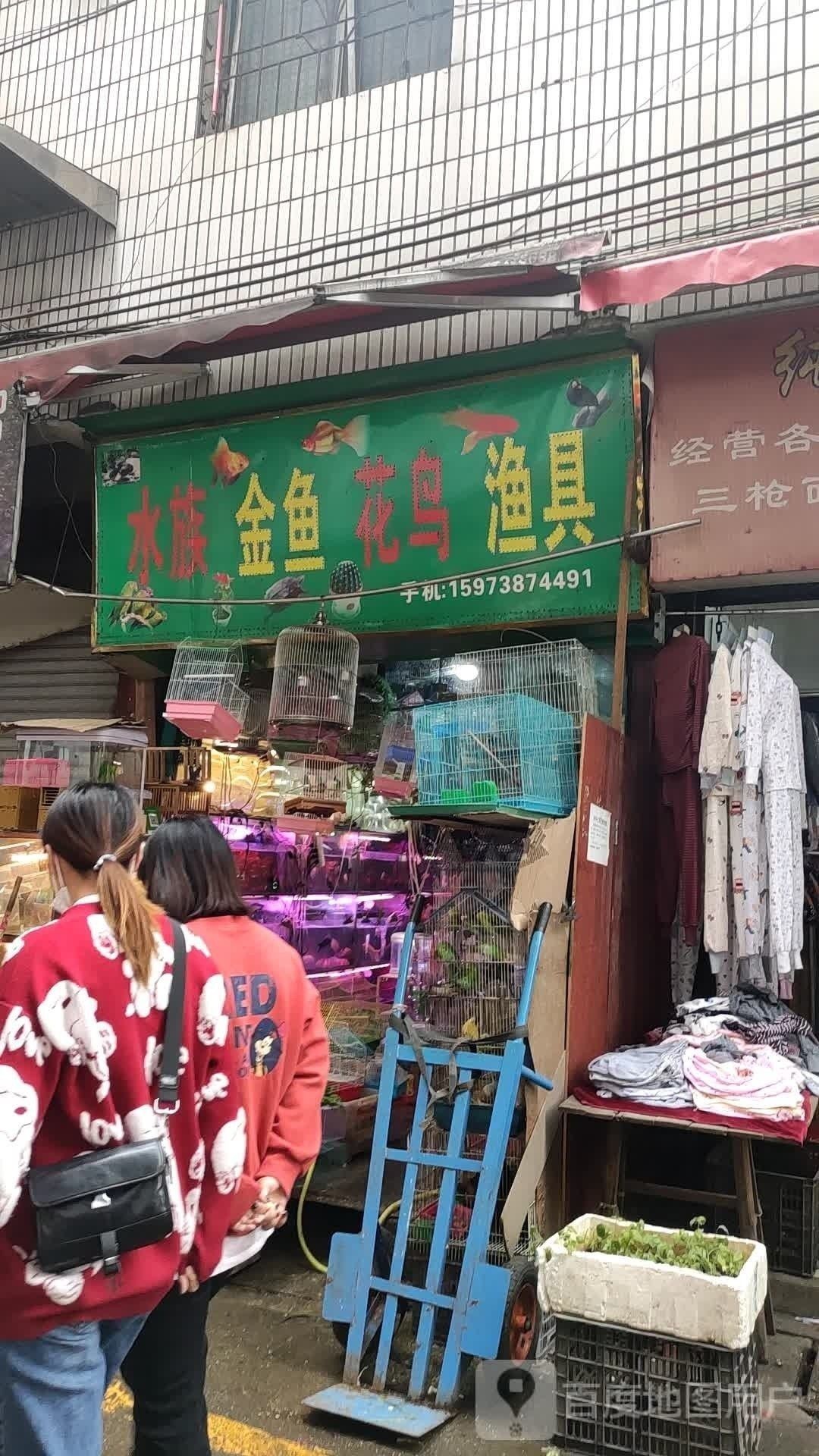 冷水江開水族店怎么樣？加盟祥龍魚場賣龍魚市場怎樣？