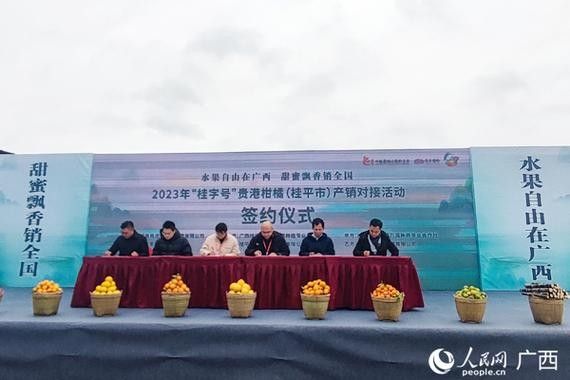 吳忠開水族店怎么樣？加盟祥龍魚場賣龍魚市場怎樣？