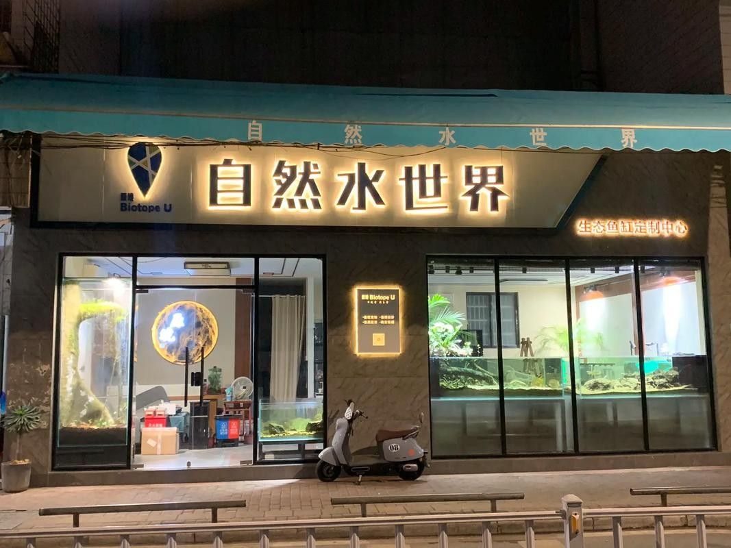 浠水開水族店怎么樣？加盟祥龍魚場(chǎng)賣龍魚市場(chǎng)怎樣？