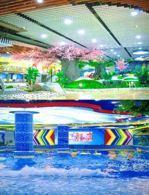 鄂爾多斯開水族店怎么樣？加盟祥龍魚場賣龍魚市場怎樣？