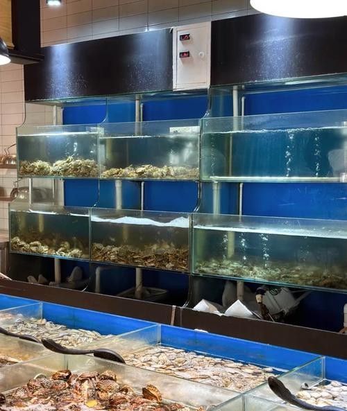 景東開(kāi)水族店怎么樣？加盟祥龍魚(yú)場(chǎng)賣(mài)龍魚(yú)市場(chǎng)怎樣？