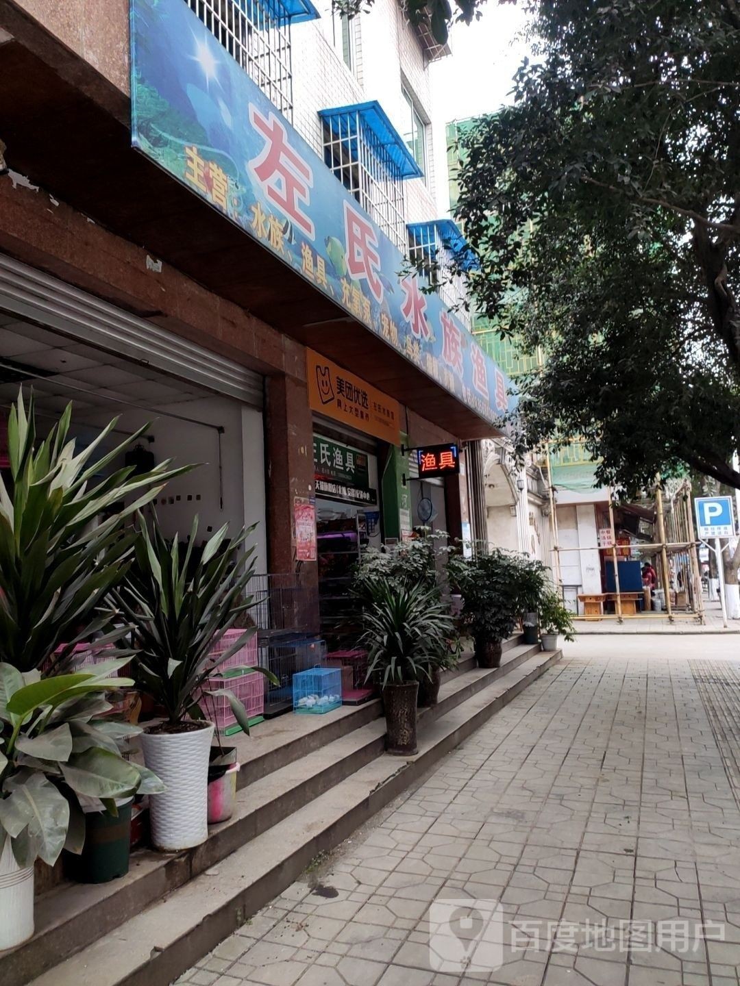 北川開水族店怎么樣？加盟祥龍魚場賣龍魚市場怎樣？