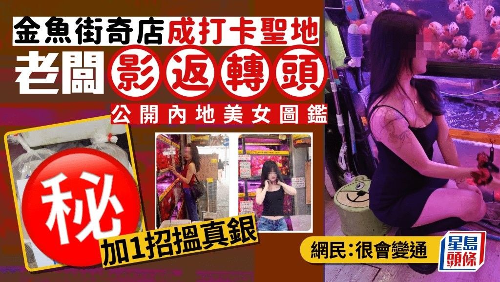香港開水族店怎么樣？加盟祥龍魚場(chǎng)賣龍魚市場(chǎng)怎樣？
