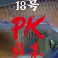 龍魚老孫參與過哪些行業賽事？ 龍魚老孫參與過哪些行業賽事？ 龍魚百科 第2張