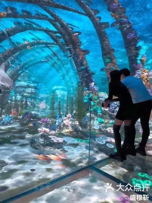 石峰開水族店怎么樣？加盟祥龍魚場賣龍魚市場怎樣？ 石峰開水族店怎么樣？加盟祥龍魚場賣龍魚市場怎樣？ 水族館百科（水族館加盟） 第2張