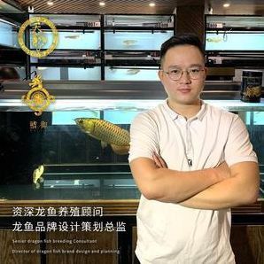 金龍魚過水的正確方法