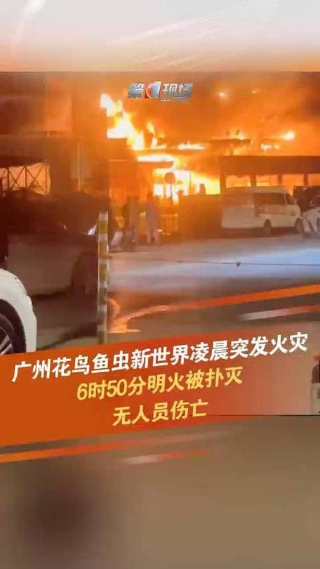 廣州百藝城祥龍魚場位置圖高清