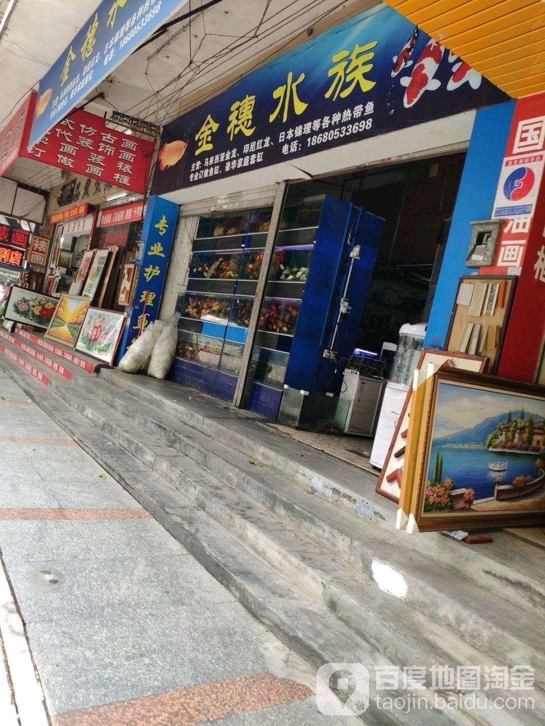 蒼梧開水族店怎么樣？加盟祥龍魚場賣龍魚市場怎樣？