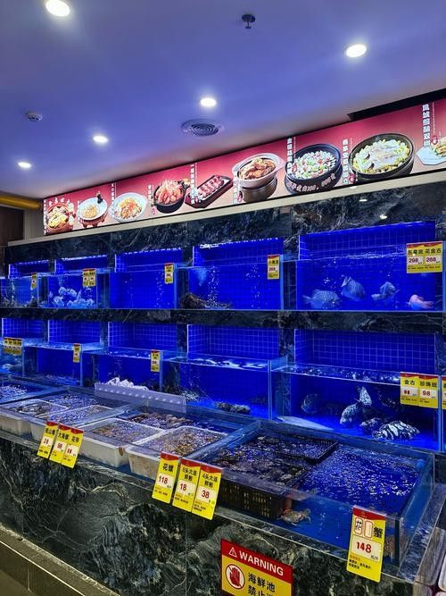 歷下開水族店怎么樣？加盟祥龍魚場賣龍魚市場怎樣？
