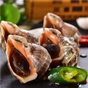 趙縣開水族店怎么樣？加盟祥龍魚場賣龍魚市場怎樣？