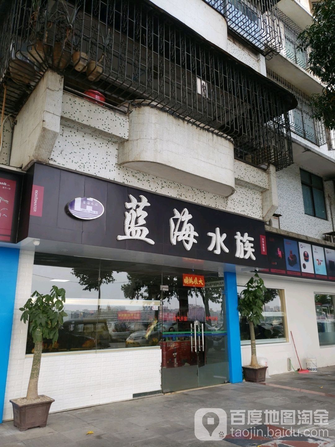 恩平開(kāi)水族店怎么樣？加盟祥龍魚(yú)場(chǎng)賣(mài)龍魚(yú)市場(chǎng)怎樣？ 恩平開(kāi)水族店怎么樣？加盟祥龍魚(yú)場(chǎng)賣(mài)龍魚(yú)市場(chǎng)怎樣？ 水族館百科（水族館加盟） 第1張