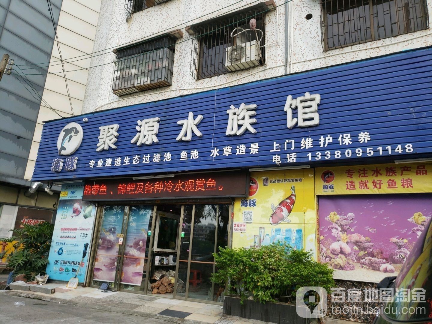 恩平開(kāi)水族店怎么樣？加盟祥龍魚(yú)場(chǎng)賣(mài)龍魚(yú)市場(chǎng)怎樣？ 恩平開(kāi)水族店怎么樣？加盟祥龍魚(yú)場(chǎng)賣(mài)龍魚(yú)市場(chǎng)怎樣？ 水族館百科（水族館加盟） 第2張