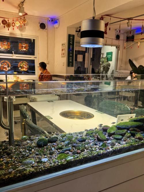 三沙開水族店怎么樣？加盟祥龍魚場賣龍魚市場怎樣？