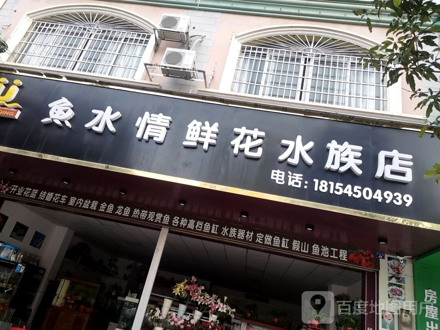 賓陽開水族店怎么樣？加盟祥龍魚場賣龍魚市場怎樣？ 賓陽開水族店怎么樣？加盟祥龍魚場賣龍魚市場怎樣？ 水族館百科（水族館加盟） 第1張
