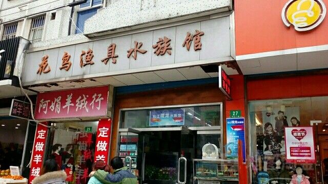 <strong><mark>松江</mark></strong>開水族店怎么樣？加盟祥龍魚場賣龍魚市場怎樣？
