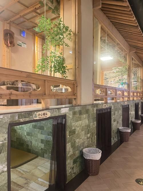 龍勝各族開水族店怎么樣？加盟祥龍魚場賣龍魚市場怎樣？ 龍勝各族開水族店怎么樣？加盟祥龍魚場賣龍魚市場怎樣？ 水族館百科（水族館加盟） 第6張