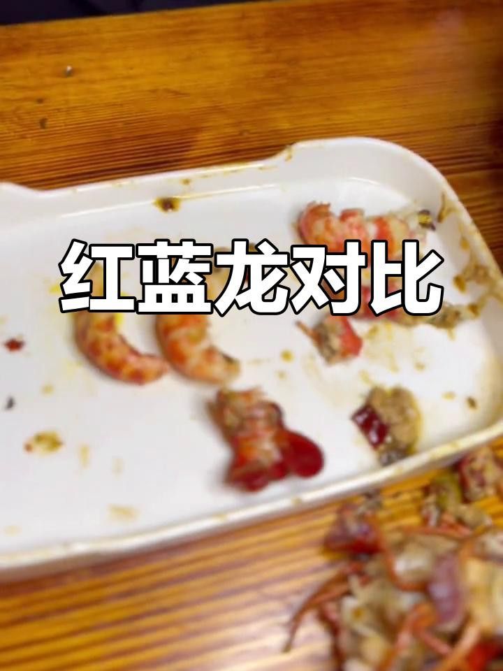 紅龍與藍龍有何不同？