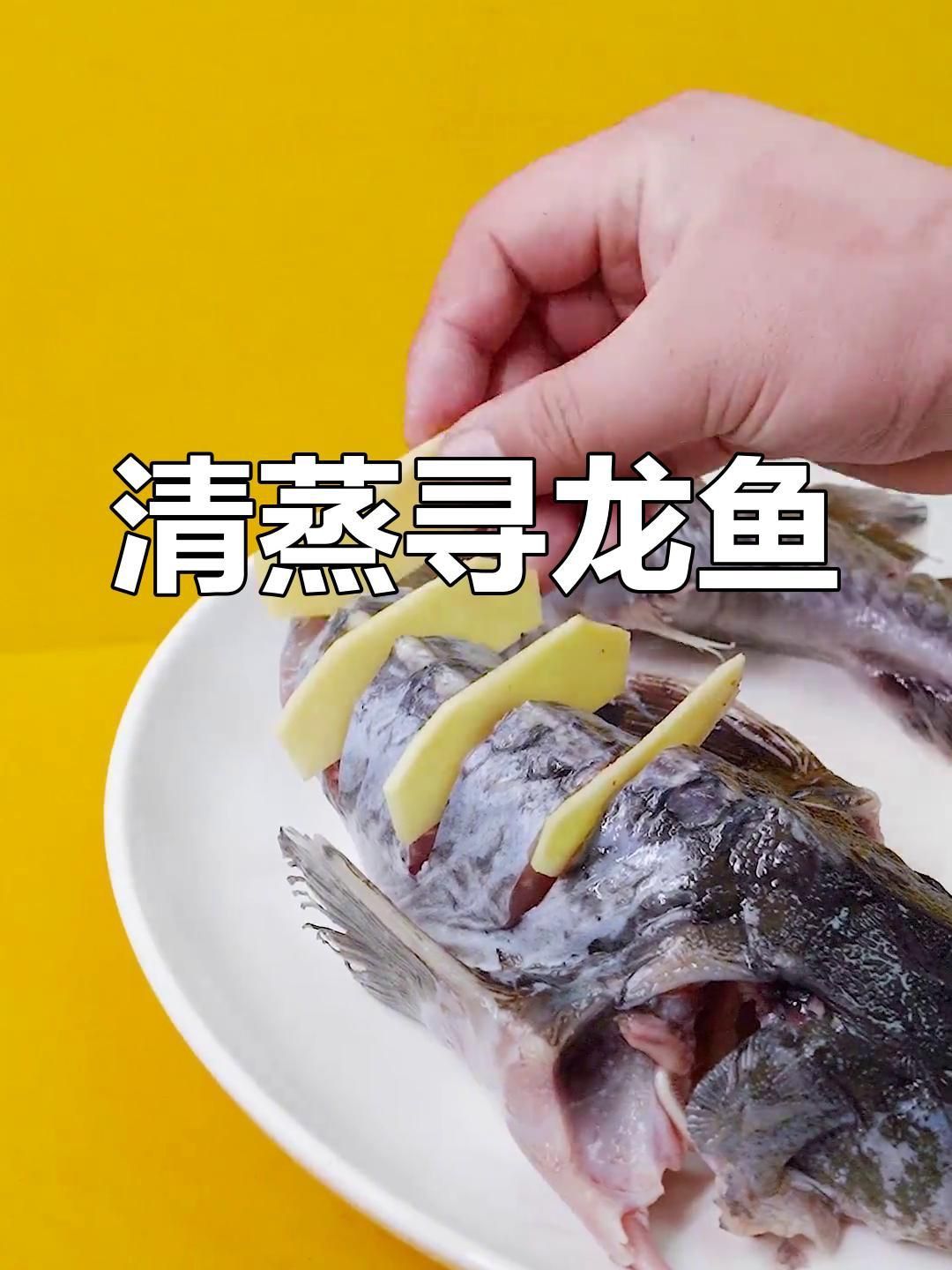 賽級古典龍魚最佳烹飪方法