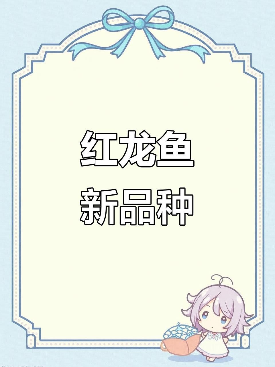 帝龍漁業的紅龍魚價格如何？