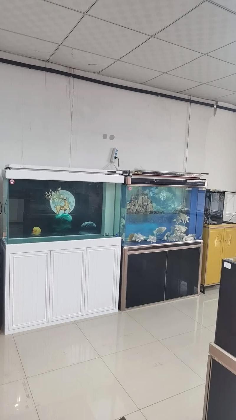 <strong><mark>徐水</mark></strong>開水族店怎么樣？加盟祥龍魚場賣龍魚市場怎樣？
