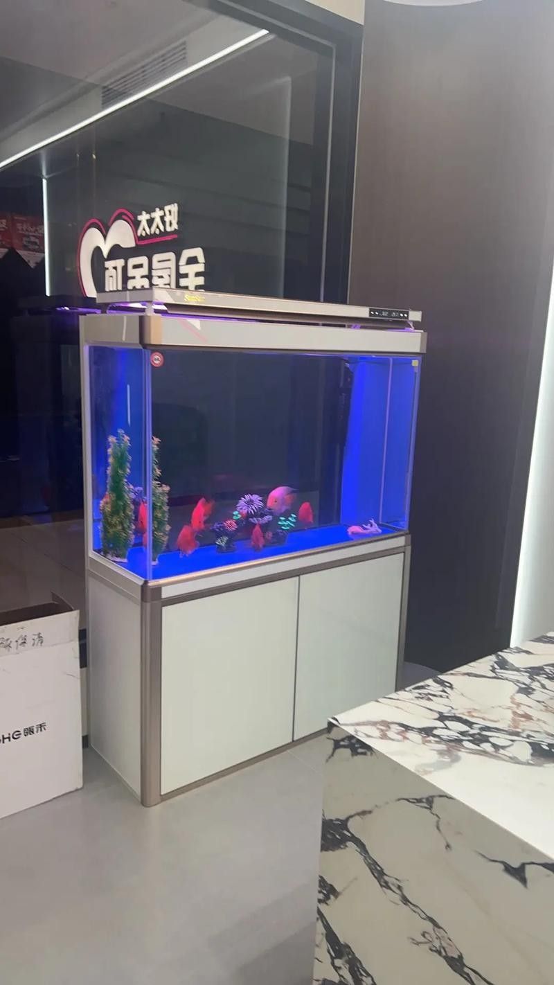 清城開水族店怎么樣？加盟祥龍魚場賣龍魚市場怎樣？