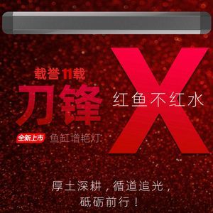 紅龍魚缸燈最佳擺放：紅龍魚燈光的選擇和使用方法