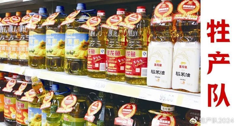 金禾金龍魚是雜牌還是品牌