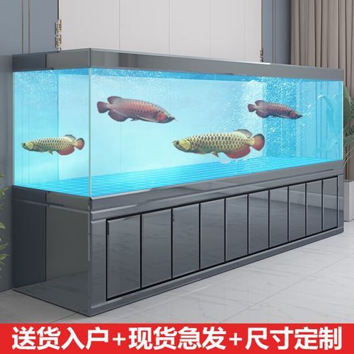 推薦幾款適合過背金龍的魚缸品牌