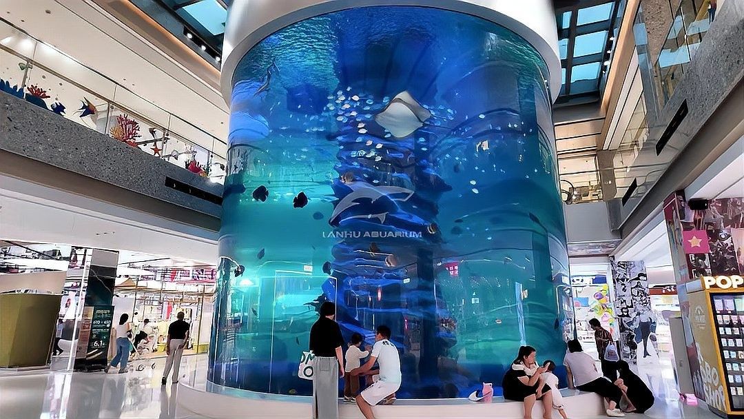 潯陽開水族店怎么樣？加盟祥龍魚場賣龍魚市場怎樣？