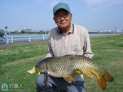金龍魚水溫多少度合適釣魚：金龍魚水溫多少度合適釣魚金龍魚水溫多少度合適 金龍魚水溫多少度合適釣魚：金龍魚水溫多少度合適釣魚金龍魚水溫多少度合適 龍魚百科 第2張