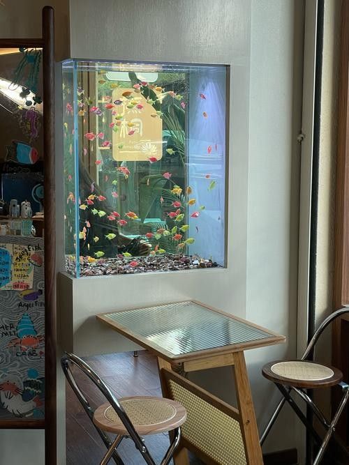 鯉城開水族店怎么樣？加盟祥龍魚場賣龍魚市場怎樣？ 鯉城開水族店怎么樣？加盟祥龍魚場賣龍魚市場怎樣？ 水族館百科（水族館加盟） 第6張