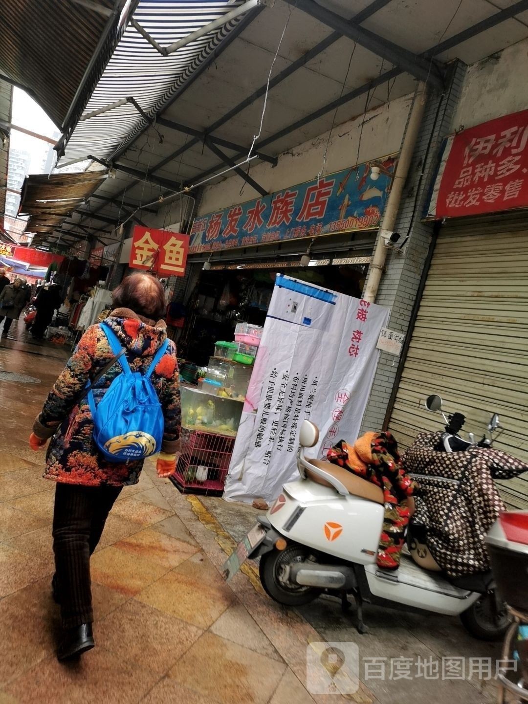 雙流開水族店怎么樣？加盟祥龍魚場賣龍魚市場怎樣？