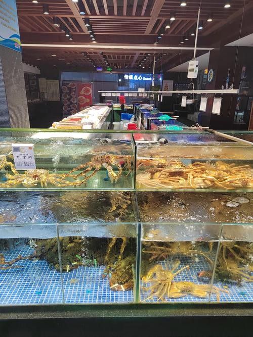 洋浦開水族店怎么樣？加盟祥龍魚場賣龍魚市場怎樣？