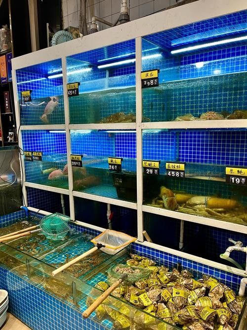 洋浦開水族店怎么樣？加盟祥龍魚場賣龍魚市場怎樣？