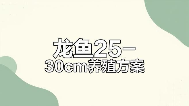 八道江開水族店怎么樣？加盟祥龍魚場賣龍魚市場怎樣？ 八道江開水族店怎么樣？加盟祥龍魚場賣龍魚市場怎樣？ 水族館百科（水族館加盟） 第7張