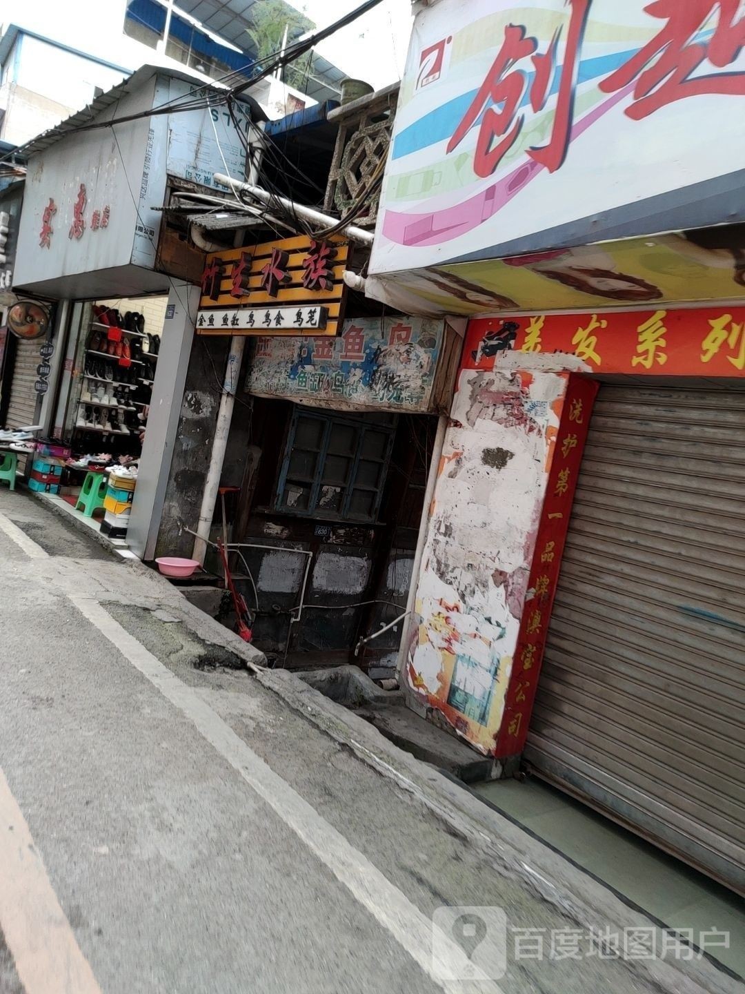 思南開水族店怎么樣？加盟祥龍魚場賣龍魚市場怎樣？