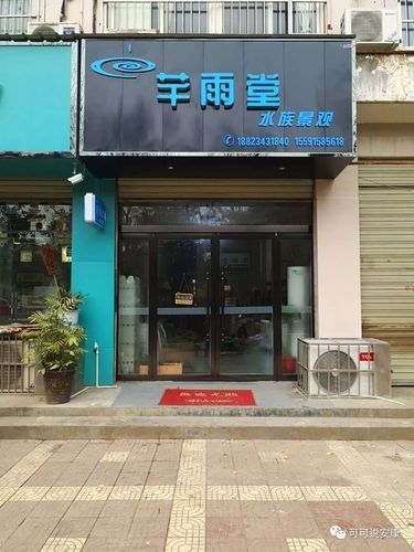 安康開水族店怎么樣？加盟祥龍魚場賣龍魚市場怎樣？ 安康開水族店怎么樣？加盟祥龍魚場賣龍魚市場怎樣？ 水族館百科（水族館加盟） 第2張