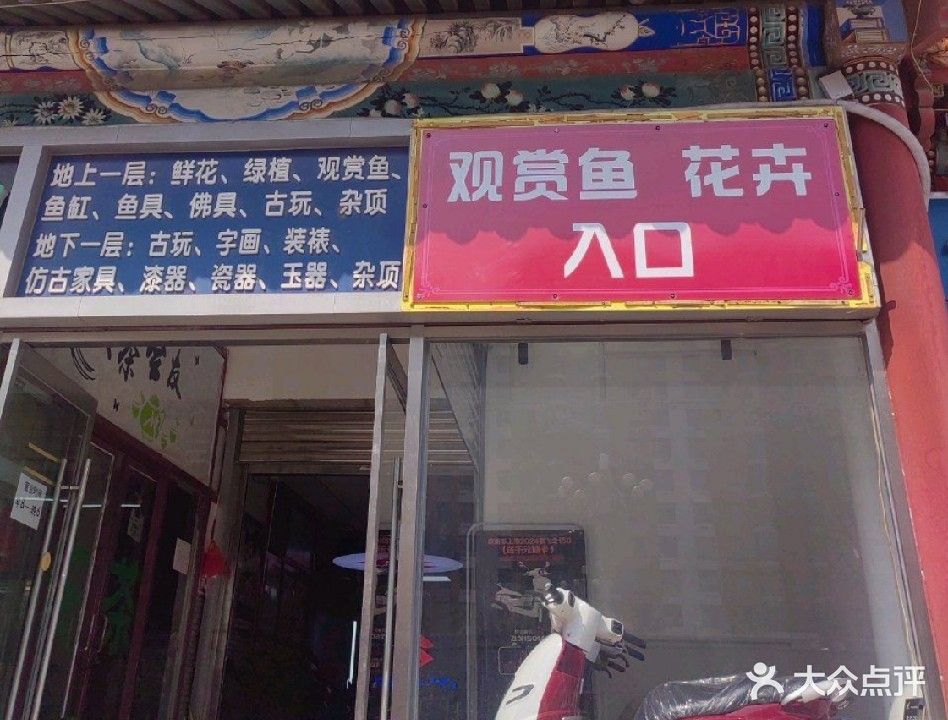 昌平開水族店怎么樣？加盟祥龍魚場賣龍魚市場怎樣？