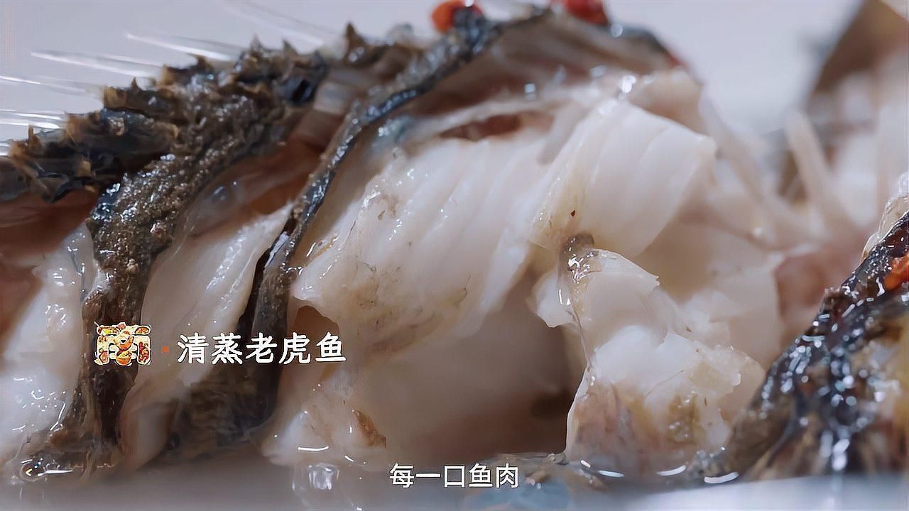 老虎魚