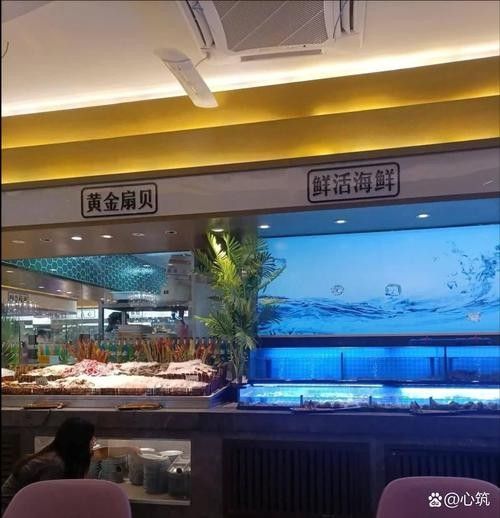 哈密開(kāi)水族店怎么樣？加盟祥龍魚(yú)場(chǎng)賣龍魚(yú)市場(chǎng)怎樣？