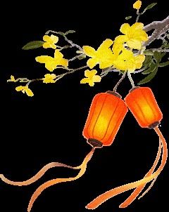 萬(wàn)盛開(kāi)水族店怎么樣？加盟祥龍魚場(chǎng)賣龍魚市場(chǎng)怎樣？