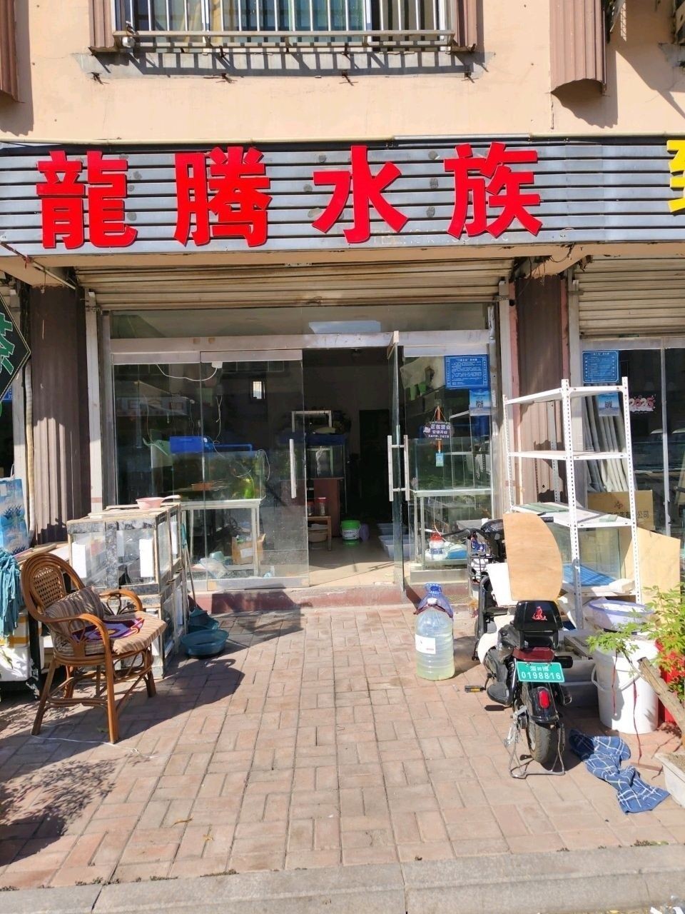 博山開水族店怎么樣？加盟祥龍魚場賣龍魚市場怎樣？ 博山開水族店怎么樣？加盟祥龍魚場賣龍魚市場怎樣？ 水族館百科（水族館加盟） 第1張