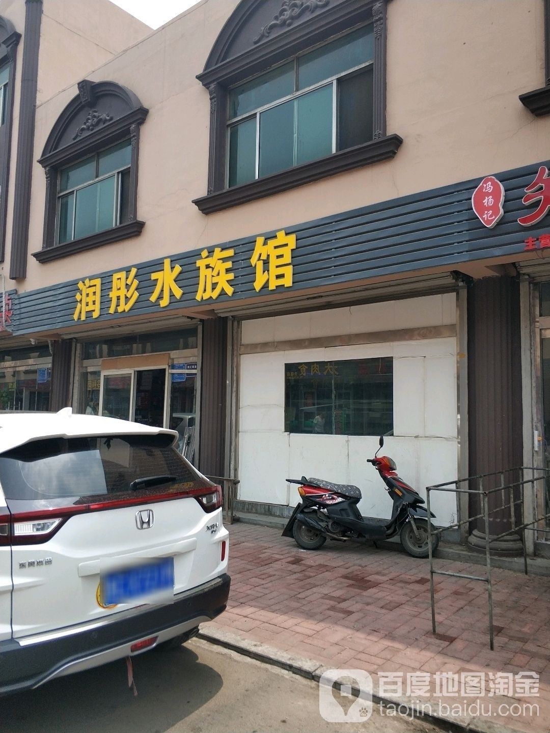 博山開水族店怎么樣？加盟祥龍魚場賣龍魚市場怎樣？ 博山開水族店怎么樣？加盟祥龍魚場賣龍魚市場怎樣？ 水族館百科（水族館加盟） 第3張