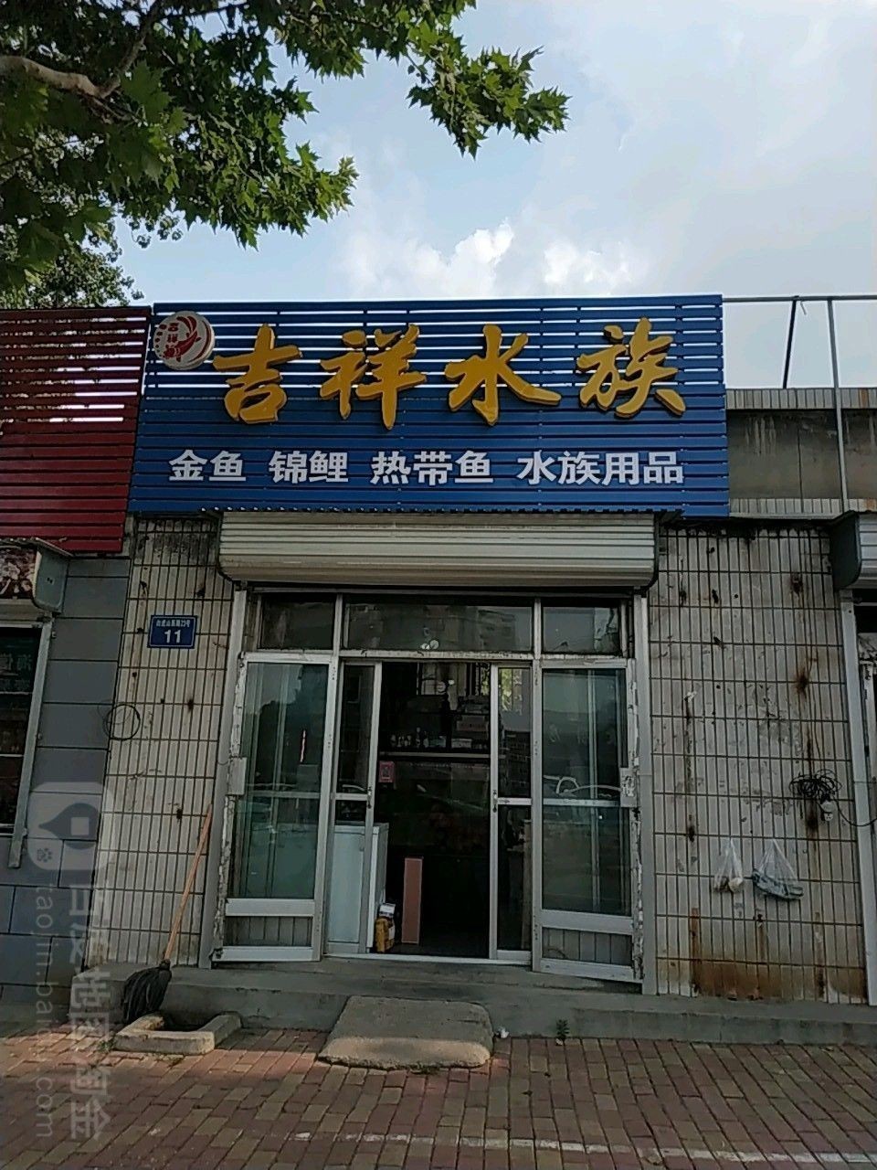 博山開水族店怎么樣？加盟祥龍魚場賣龍魚市場怎樣？ 博山開水族店怎么樣？加盟祥龍魚場賣龍魚市場怎樣？ 水族館百科（水族館加盟） 第2張