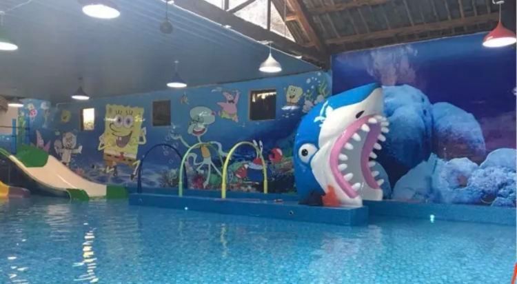丘北開水族店怎么樣？加盟祥龍魚場賣龍魚市場怎樣？ 丘北開水族店怎么樣？加盟祥龍魚場賣龍魚市場怎樣？ 水族館百科（水族館加盟） 第12張